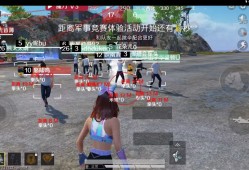 和平精英外挂【麻豆直装】车辆透视 触摸自瞄 透视绘制 掩体漏击