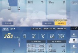 和平精英比赛视频_和平精英团竞打科技视频