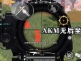 自瞄神器和平精英_和平精英自瞄打鸟算法
