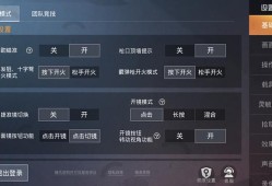 和平精英辅助怎么用_和平精英三大辅助怎么打开
