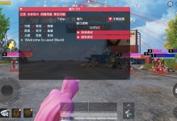 和平精英外挂【魔方直装V3稳定版】全图透视 开火开镜自瞄  子弹追踪 人物美化