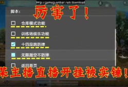 和平精英自瞄挂什么意思_和平精英外挂术语