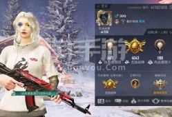 和平精英大佬是谁_和平精英谁才是科技大佬