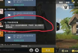 和平精英不知道队友是挂怎么办_队友开挂是什么体验和平精英