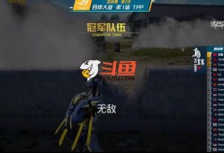 斗鱼和平精英选手开挂：作弊行为引发关注与反思_斗鱼和平精英选手开挂