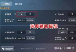 和平精英老司机遭遇外挂挑战：揭露与应对游戏不正义行为的全攻略_和平精英老司机打外挂