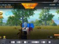 和平精英挂免root_root和平精英开挂教程