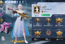 《和平精英双人主页挂：玩转游戏新姿势，打造专属双人荣耀时刻》_和平精英双人挂主页