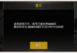和平精英怎么才能开透视_和平精英怎么开能看到人透视眼
