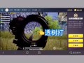 和平精英透视3元挂_和平精英外挂会消失吗