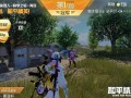 和平精英自瞄挂是什么_和平精英里什么是挂