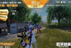 和平精英自瞄挂是什么_和平精英里什么是挂