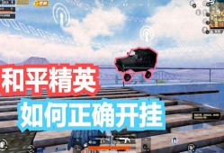 和平精英透视挂永久免费_和平精英怎么透视开挂免费