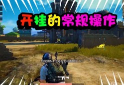 和平精英:开局假扮人机,忽悠路人_和平精英假装自己是外挂人机