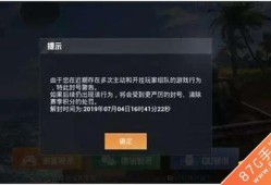 透视辅助器和平精英_电脑和平精英透视辅助器app