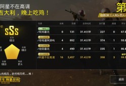 和平精英团队竞技中的外挂问题：探讨与应对方案_和平精英团队竞技和外挂