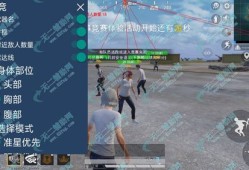 和平精英辅助瞄准_和平精英怎么送辅助