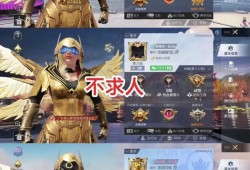 和平精英游戏主播需要具备哪些条件_游戏主播和平精英科技怎么玩