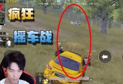 和平精英辅助瞄准开好还是不开好_和平精英摇车主播是不是开了自瞄