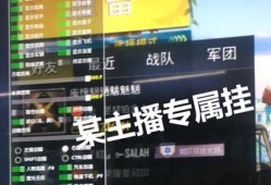 和平精英自瞄锁头免费_免费和平精英自瞄锁头下载