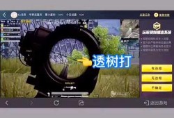 和平精英开挂隐身模式：神秘技巧助你轻松称霸战场而不被察觉_和平精英开挂隐身模式