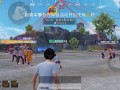 和平精英辅助【东方红直装】容器版 全图透视 开枪自瞄