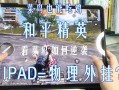 关于《外挂监测员和平精英：公平游戏环境的守护者》的思考与探讨_外挂监测员和平精英