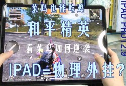 关于《外挂监测员和平精英：公平游戏环境的守护者》的思考与探讨_外挂监测员和平精英