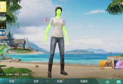 开挂怎么开和平精英_和平精英演示开挂怎么开