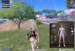 和平精英怎么设置自动瞄准_和平精英怎么开自瞄无后座