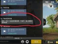 老撕鸡和平精英解说_老撕鸡玩和平精英偶遇外挂