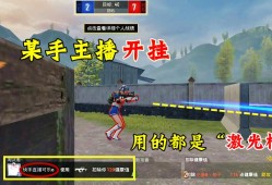 和平精英怎么才能买挂_和平精英什么买挂