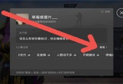 和平精英透视自瞄免费辅助_和平精英透视自瞄破解免费