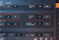 和平精英透视镜头功能详解：如何开启与正确使用_和平精英怎么开透视镜头