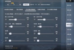 和平精英透视3元挂_和平精英外挂般的名字
