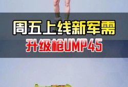 和平精英新手用什么枪_和平精英透视什么枪好用