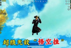 《和平精英透视助手TC_tcgames和平精英透视