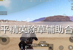 和平精英除草辅助免root_和平精英全除草辅助免费版