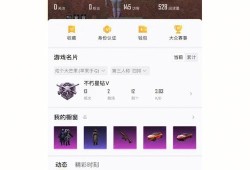 和平精英主播最新内部挂_和平精英主播人均开挂