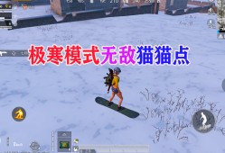 和平精英透视源码_透视和平精英安全码
