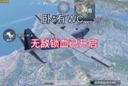 【揭秘和平精英自瞄功能的使用技巧与操作细节】——让你的游戏操作更加得心应手_和平精英怎样开自瞄功能