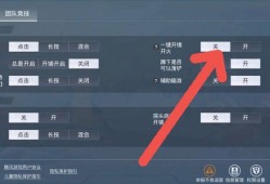 和平精英全是挂怎么玩_和平精英第一次玩外挂