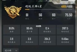 和平精英高科技透视_和平精英高科技上分