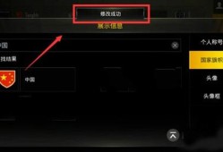 和平精英国际服辅助器_和平精英亚服辅助器免费