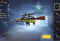 《和平精英铂金局是否存在外挂问题》_和平精英铂金局有挂吗