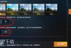 和平精英透视手机版_手机和平精英免费透视