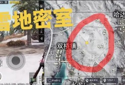 和平精英雪地外挂巡查视角：揭露作弊行为，守护游戏公平性_和平精英雪地外挂巡查视角