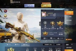 和平精英老大一天能查多少单_和平精英外挂被老大抓
