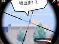 和平精英的挂是怎么使用的_和平精英如何用枪打死外挂