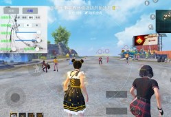 和平精英挂多得没法玩_和平精英高分段外挂多吗